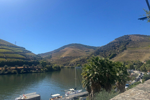 Porto: Douro Valley Half-Day Wine and Food Tour Tour with Hotel Pickup