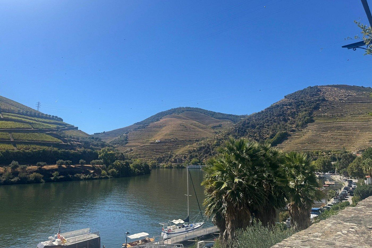 Porto: Douro Valley Half-Day Wine and Food Tour Tour with Hotel Pickup