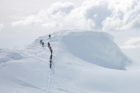 From Seljavallalaug: Eyjafjallajökull Volcano Summit Hike