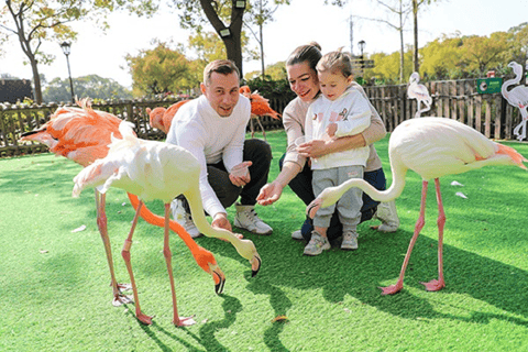 Shanghai: Wild Animal Park Day Trip with Safari Bus Wild Animal Park Day Trip