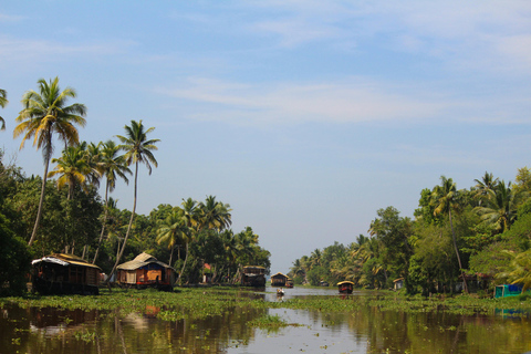 Fort Kochi Dagtour met Nederlands Paleis vanuit Cochin