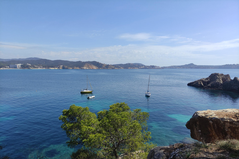 Mallorca: Catamaran Boat Tour with Tapas