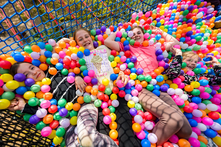 Windermere: Treetop bouncy nets (Treetop Nets)