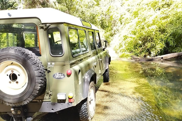 4x4 Land Rover day trip with Fanm Sosyal Kréyol in Guadeloupe Half-Day
