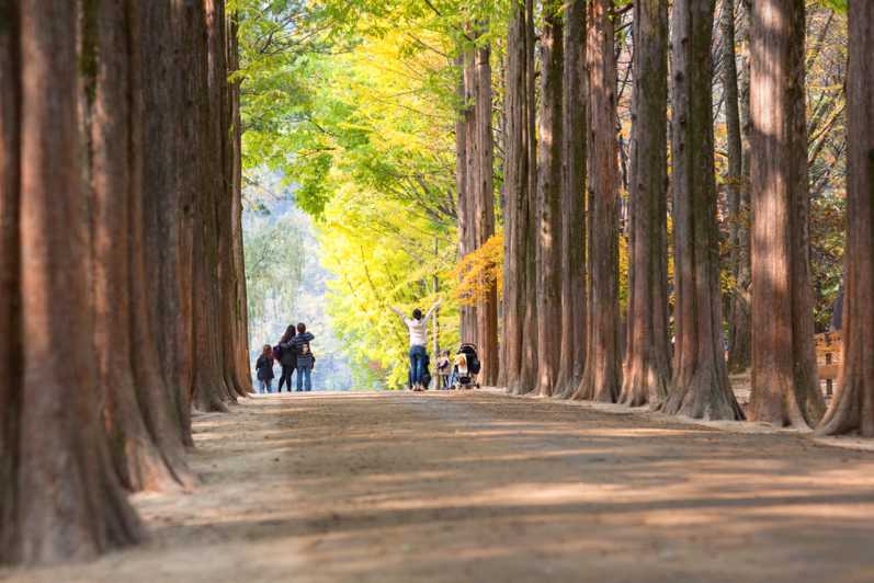 Seoul to/from Nami Island: Round-Trip Shuttle Service