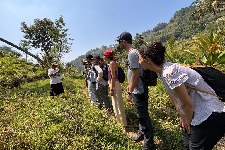 يوغياكارتا: جولة شاملة مع مرشد سير في تراس الأرزيوجياكارتا: جولة شاملة على مدرجات الأرز مع مرشد