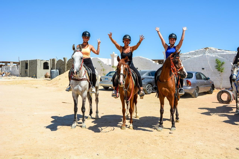 الغردقة: جولة ركوب الخيل في الصحراء والبحر مع خيار السباحةجولة لمدة ساعتين لركوب الخيل بدون السباح
