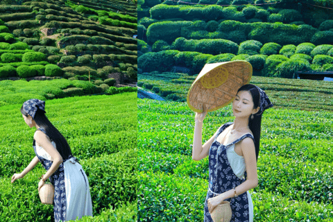 杭州：龙井茶村摄影体验
