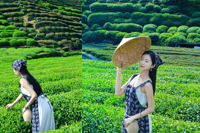 杭州：龙井茶村摄影体验