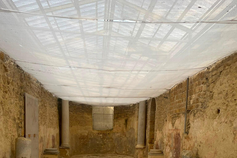 Villa Romana del Casale: Entry Ticket with Audioguide