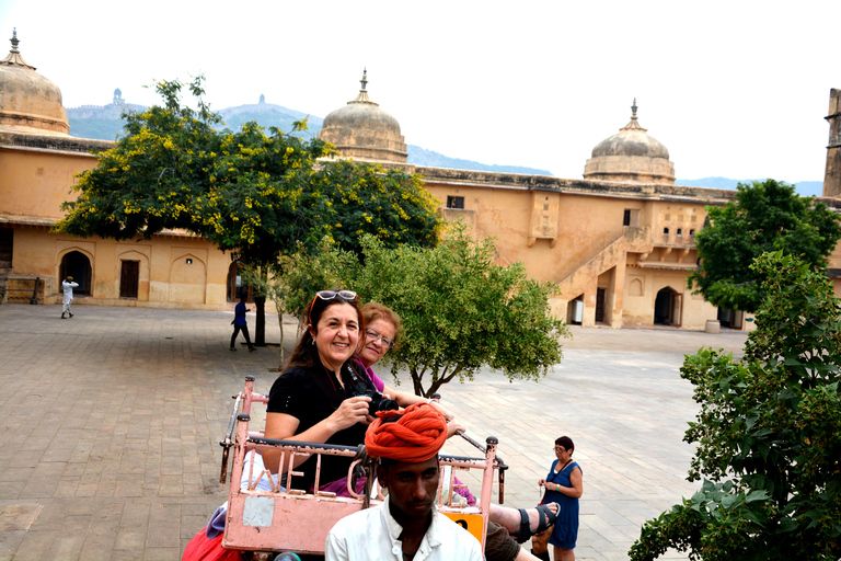 Jaipur: Amber Fort, Stadtpalast und Hawa Mahal Tagestour