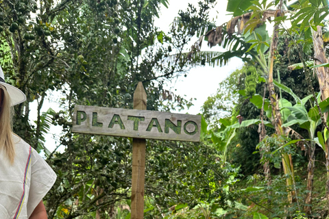 Coffee and Exotic Fruit Tour from Medellín with Lunch Coffee and Exotic Fruit Tour from Medellín with Lunch.
