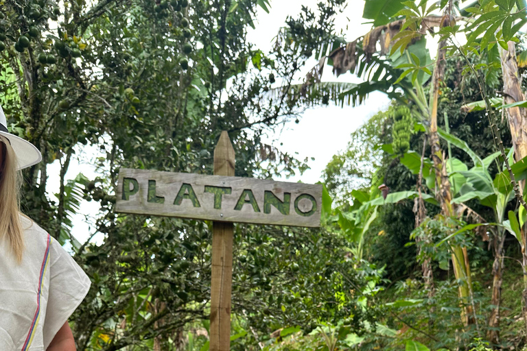 Coffee and Exotic Fruit Tour from Medellín with Lunch Coffee and Exotic Fruit Tour from Medellín with Lunch.