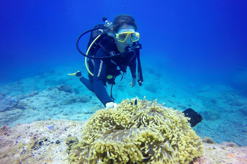 Padi: educación continua avanzadaMauricio: curso avanzado de buceo en aguas abiertas PADI