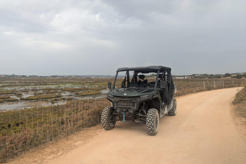 Guided buggy Passenger tour Alvor Ria wetlands
