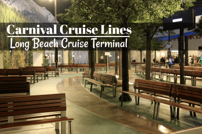 Tour of LA & Hollywood from Carnival Cruise Terminal, LB