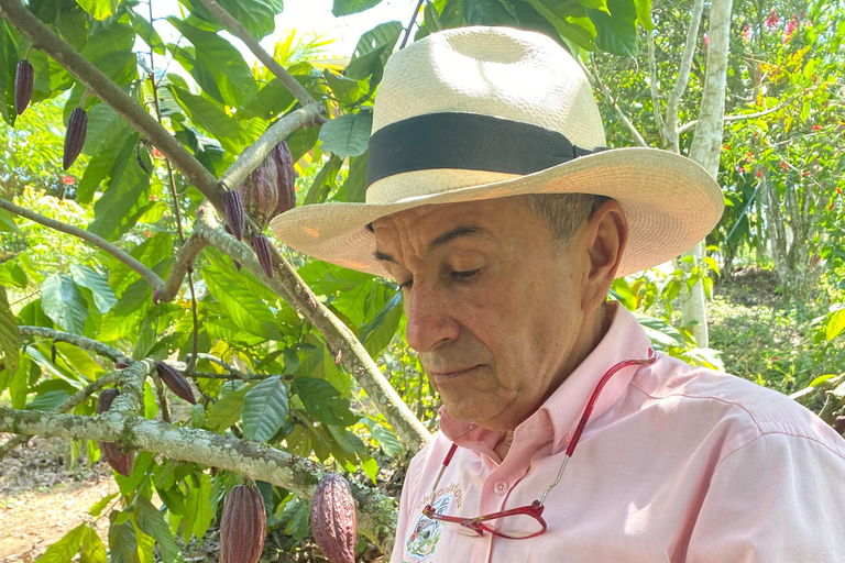 Swetness and Smoothness of "Tour" Chocolate