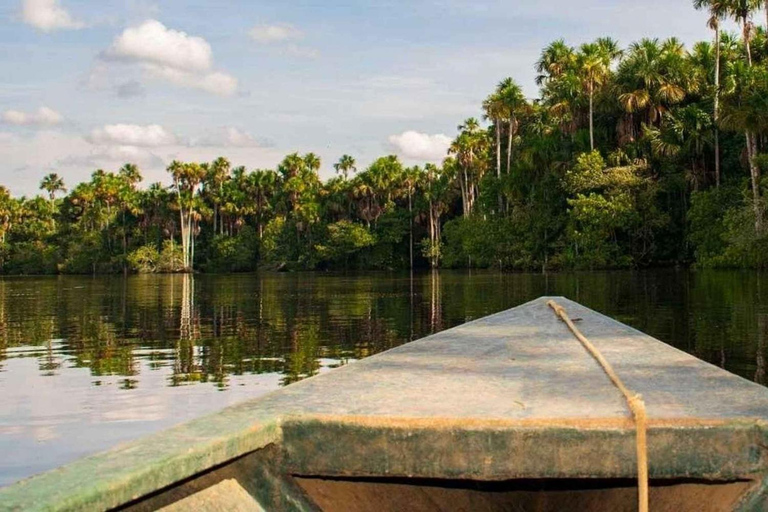 Caminhada pela selva e Lago Sandoval | Dia inteiro