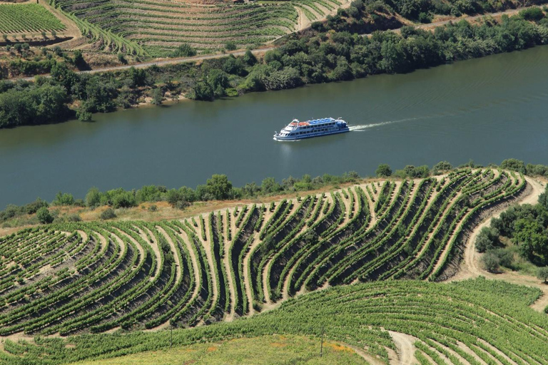 Porto/Regua/Porto (i z powrotem): Rejs po rzece Douro + lunchWeekend Régua-Porto