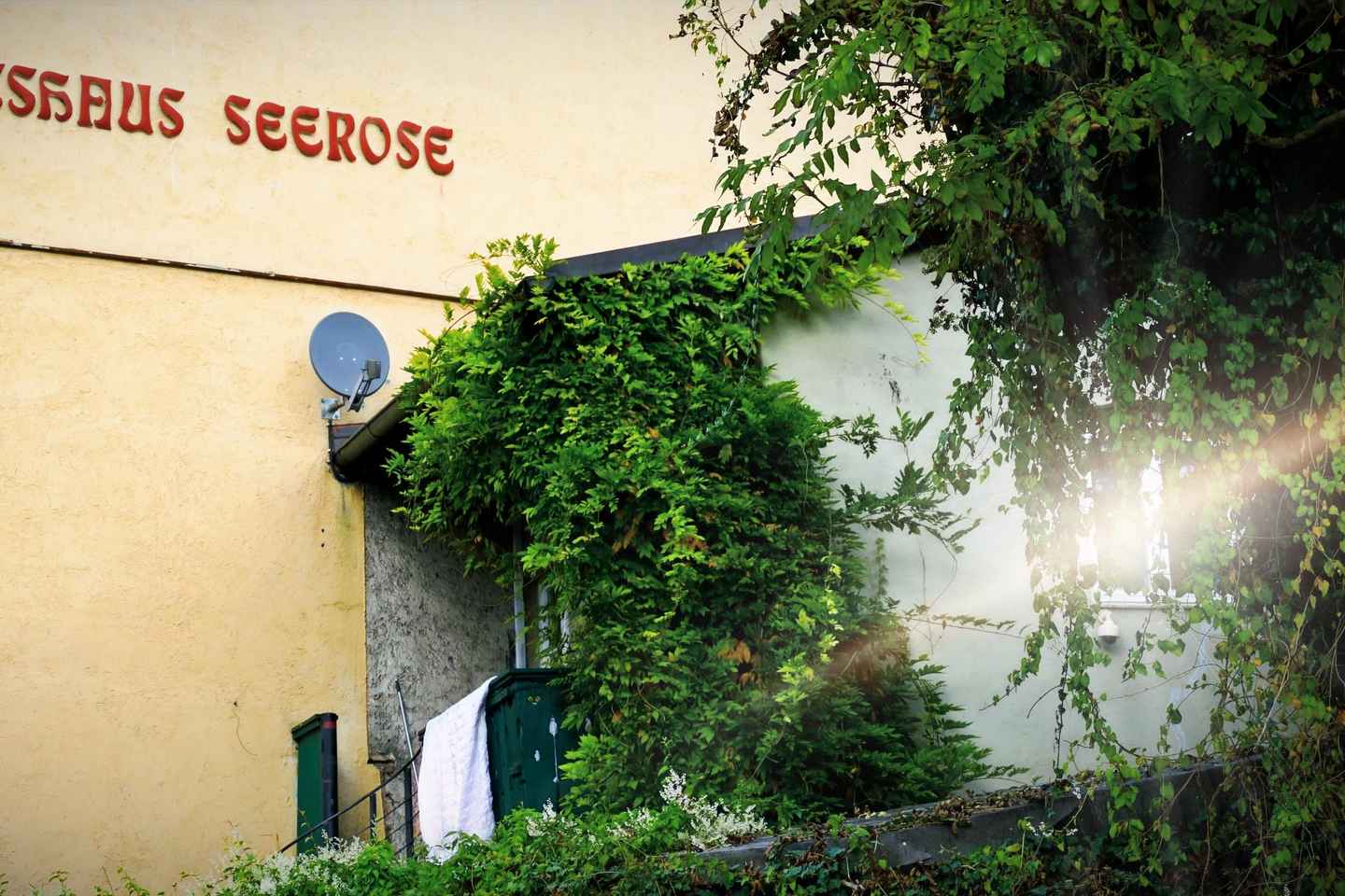 Schwabing: Insider Tour! Neighborhood, Revolt, Secrets in Munich's Iconic District