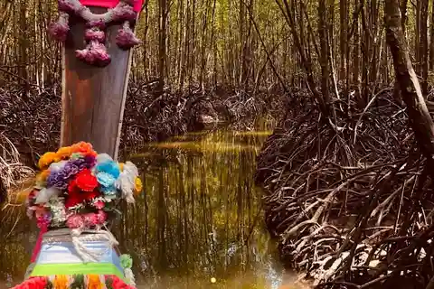 Tungyeepeng: Amazing Mangrove Boat Trip with Lunch