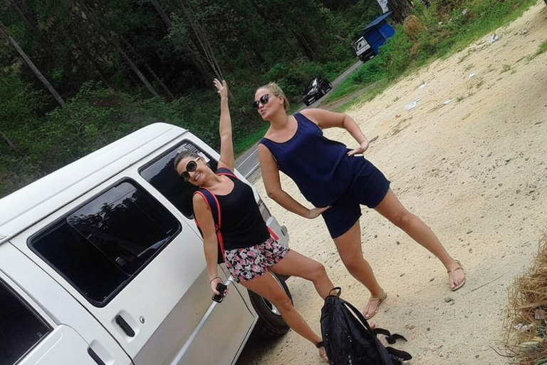 Kandy: Nuwara Eliya Transfer with Tea Factories & Falls Kandy–Nuwara Eliya drop with Tea Factory & Waterfall Stop