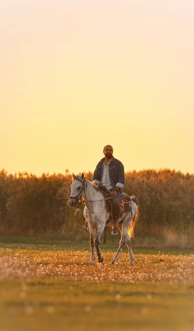 Seville: Horseback Riding Tour along the Guadalquivir River