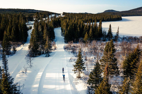 Quebec City: Introduction to cross-country skiing at Camp Mercier