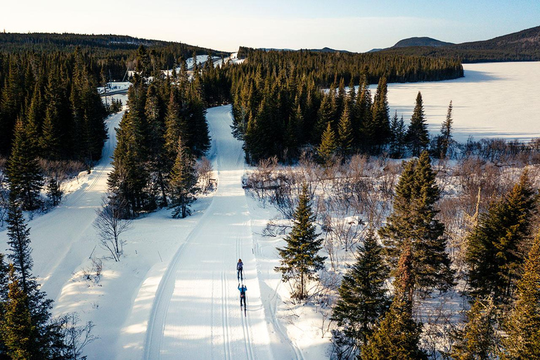 Quebec City: Introduction to cross-country skiing at Camp Mercier