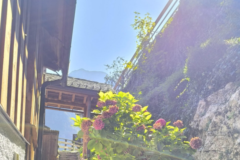 Serene Austrian Escape: Dürnstein, Melk, Salzburg, Hallstatt