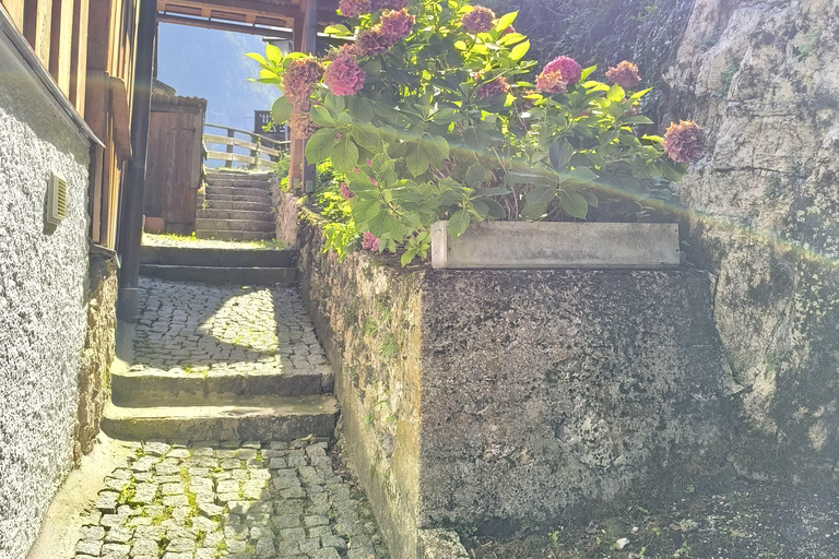 Serene Austrian Escape: Dürnstein, Melk, Salzburg, Hallstatt