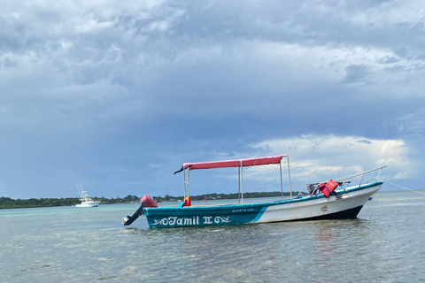 Wasini Island: Daytrip