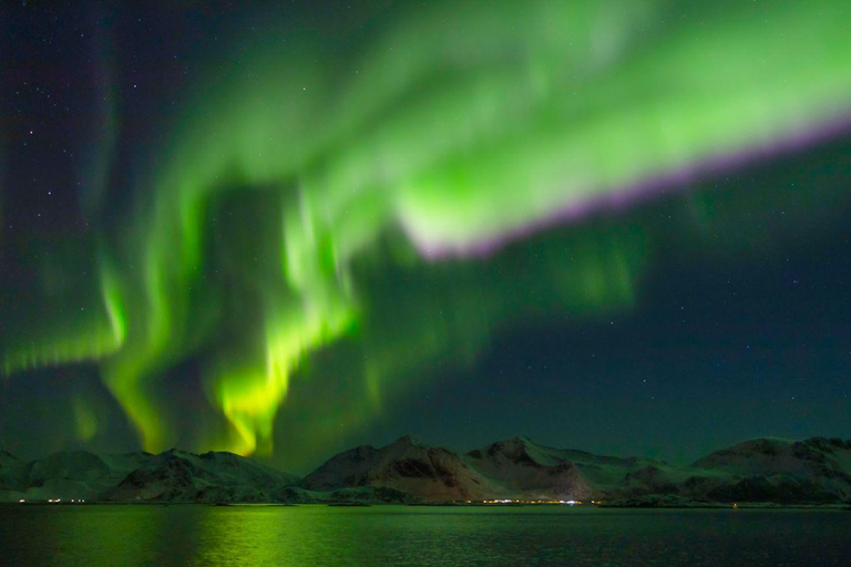 Ze Svolvær: Wycieczka vanem z przewodnikiem po zorzy polarnej