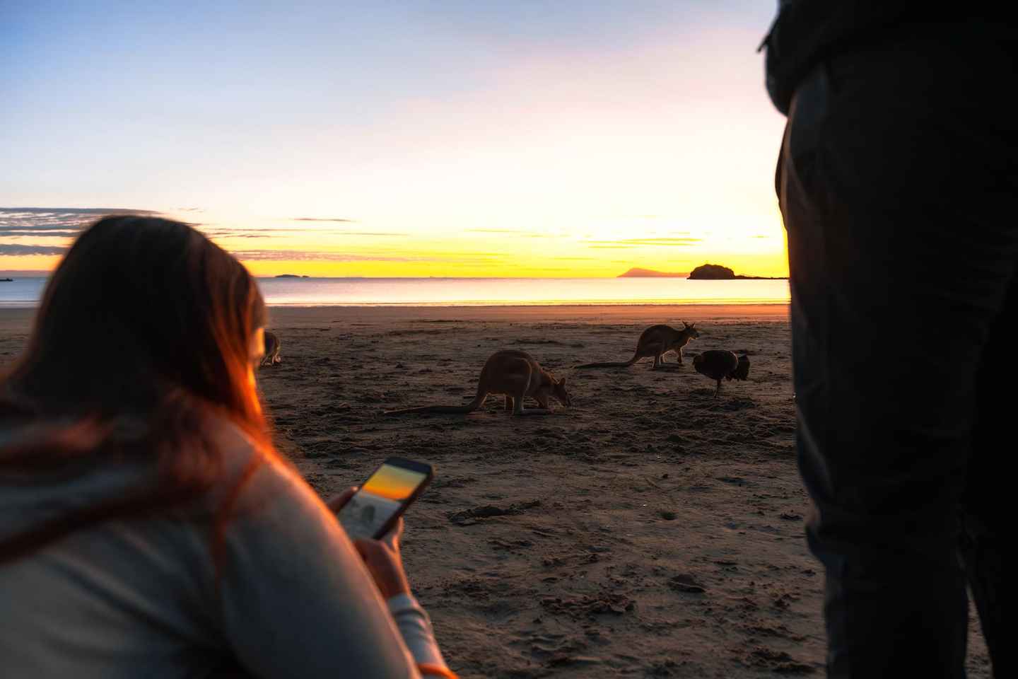 Airlie Beach: Whitsundays Wildlife 2-Day Eco Tour - Airlie Beach: Whitsundays Wildlife 2-Day Eco Tour