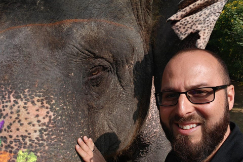 From Delhi: 3-Day Golden Triangle Delhi, Agra, & Jaipur Tour Only Tour Guide Service in Delhi - Agra - Jaipur.