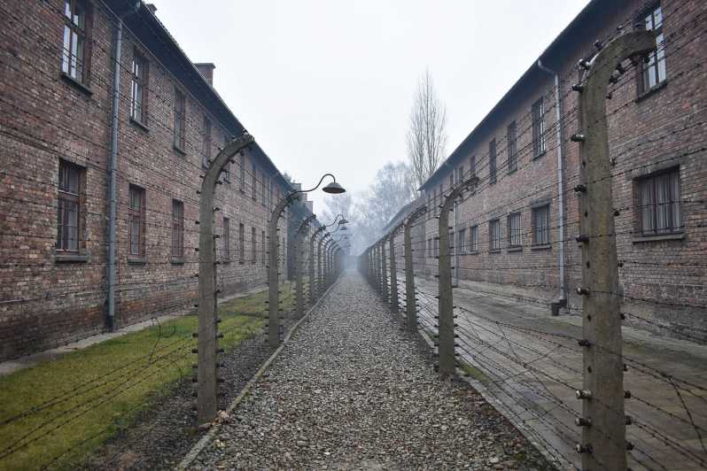 Fra Kraków: Selvguidet omvisning i Auschwitz-Birkenau