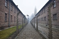 De Krakow, Tour guiada de Auschwitz-Birkenau con transferencia - Housity