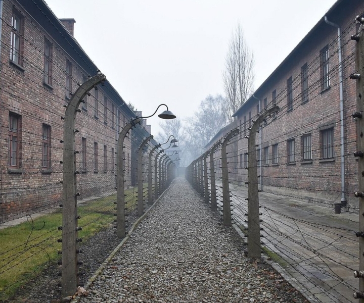 Från Kraków: Självguidad tur i Auschwitz-Birkenau