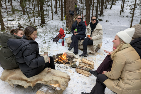 Oslo: 3-hour Cross Country trip with equipment and guide