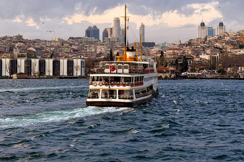 Istanbul: Private Custom Tour with Hotel Pickup & Transfers Private Tour: 8-10 Hours, Pickup & Transfers, Up to 6 Guests