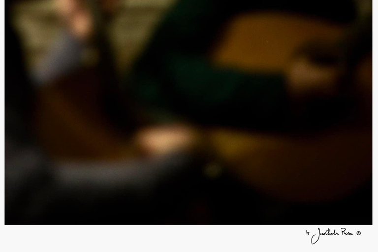 Vila Nova de Gaia: dinner at the only Traditional Fado House