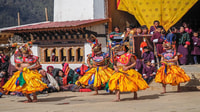 Black necked Crane Festival in Bhutan 2024 - Housity
