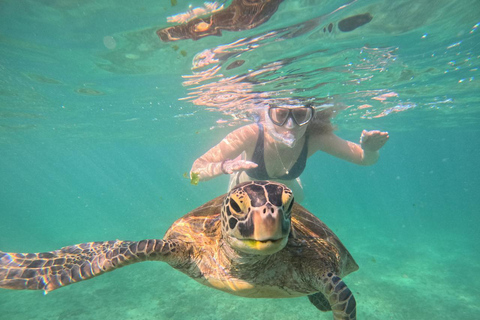 Mirissa: Unforgettable Snorkeling Experience with Turtles