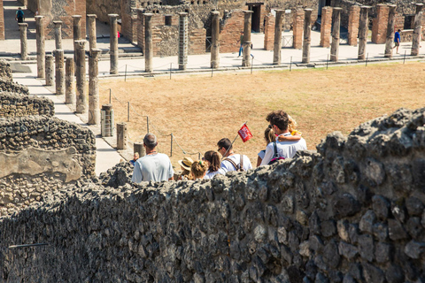 From Naples: Pompeii and Sorrento Guided Tour Tour in English