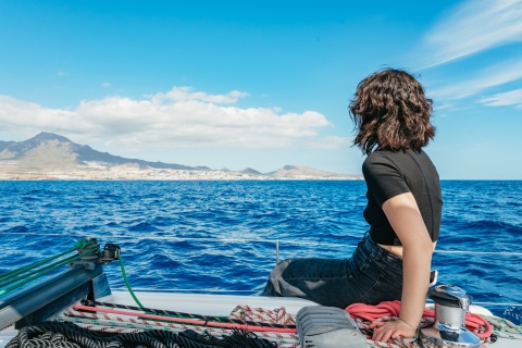 Tenerife: walvissen & dolfijnen spotten & drankjes en snacksGedeelde tour
