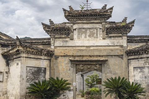 Shanghai: Fuyang Bayberry Picking & Ancient Town Day Trip