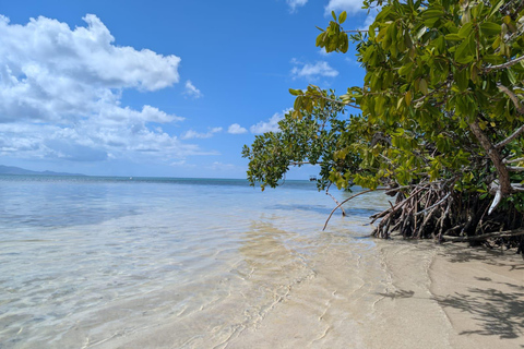 Petit Bourg: All-Inclusive Boat Excursion + Meal by the Water Petit Bourg: All-Inclusive Day Trip by Boat + Meal on the Waterfront