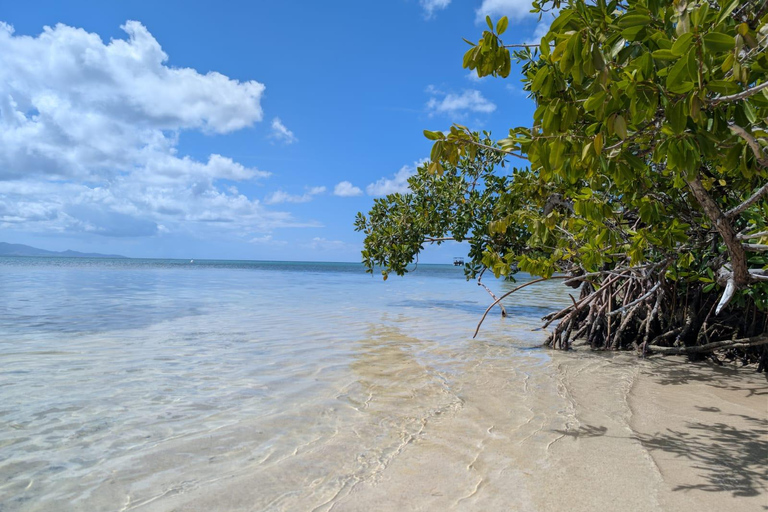 Petit Bourg: All-Inclusive Boat Excursion + Meal by the Water Petit Bourg: All-Inclusive Day Trip by Boat + Meal on the Waterfront