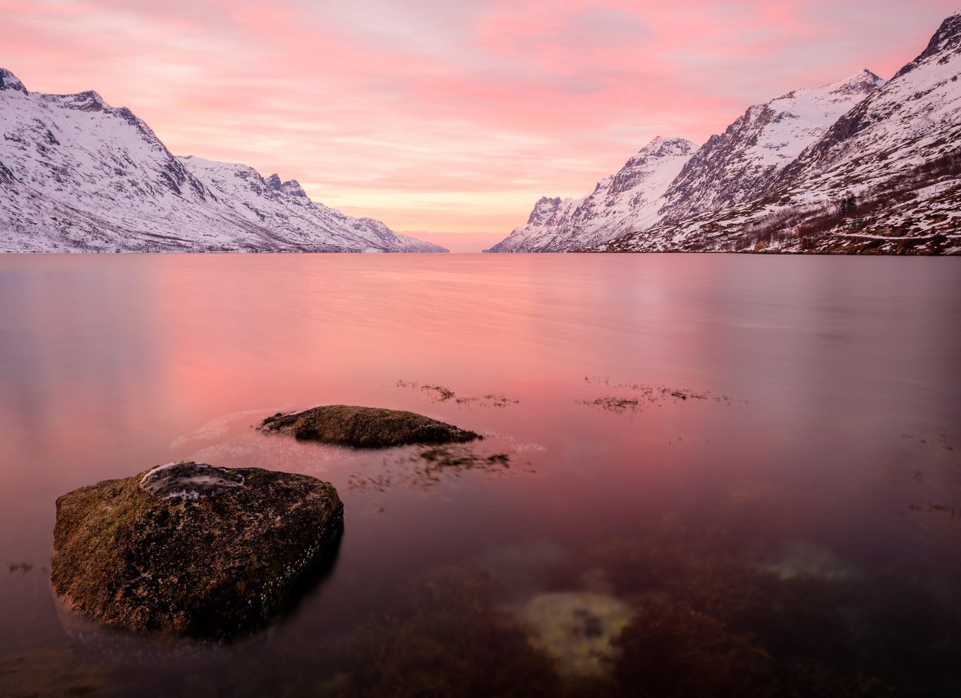 Tromsø: Fjord- og Sommarøy-tur med laksepicnic