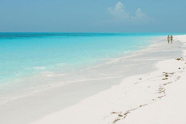Zanzibar: Mnemba Island, Nungwi Aquarium & Kendwa Tour